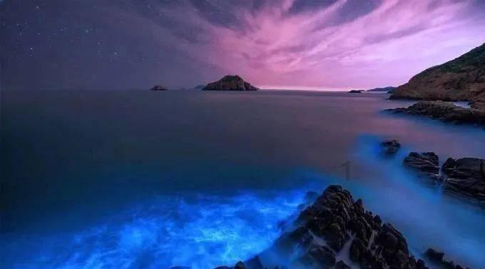 莫雷岛逃脱