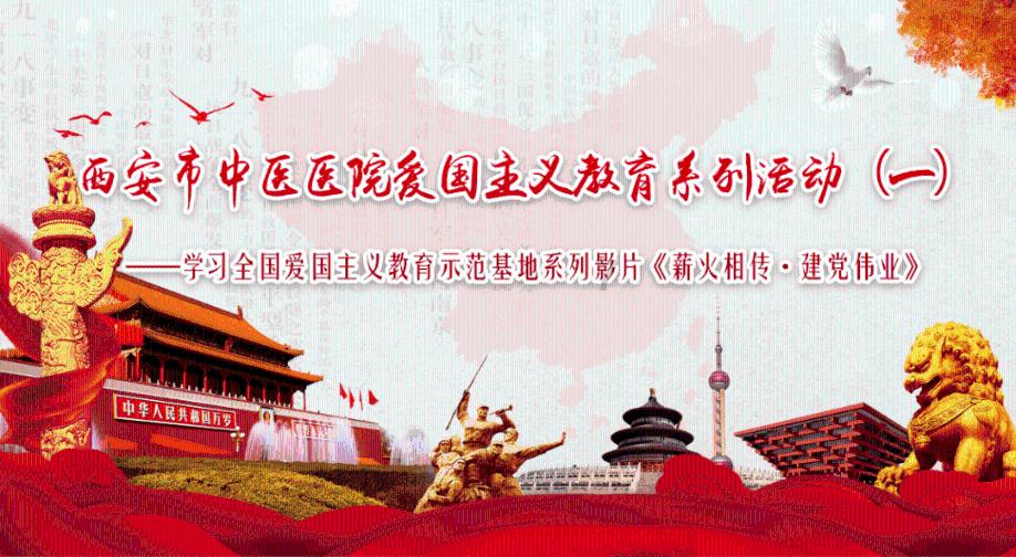 植物大战僵尸7